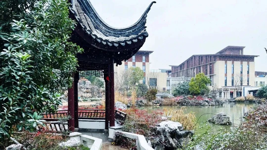 精彩在嘉园|国寿嘉园·雅境养老社区苏式美学养老系列展览开幕啦！
